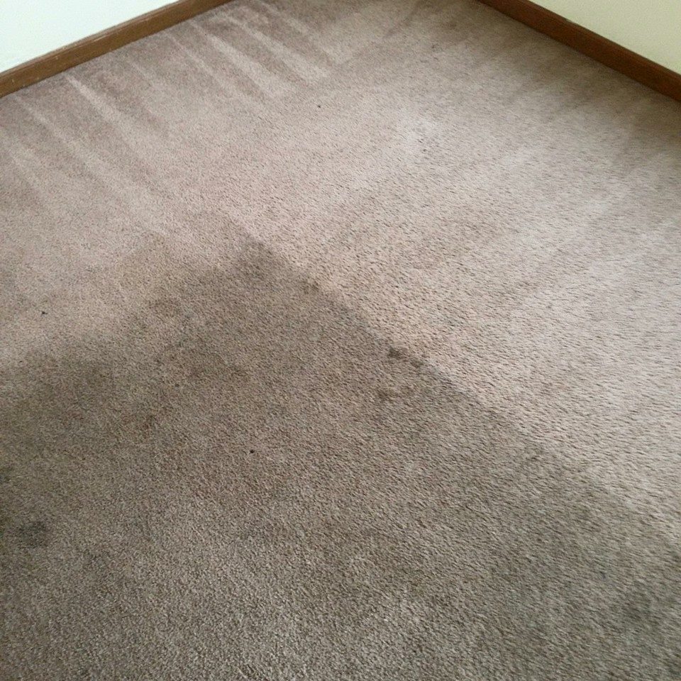 Carpet cleaning before and after - residential home