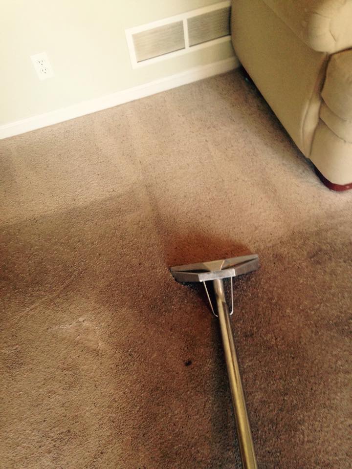 Residential carpet cleaning