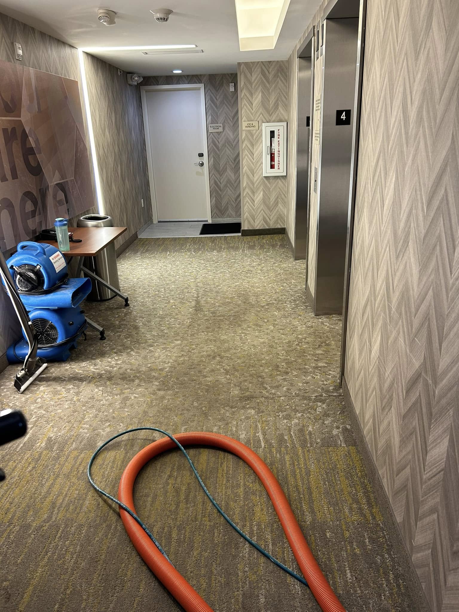 Hotel carpet cleaning service